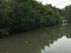 景点-溱湖国家湿地公园