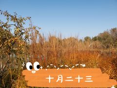 -东郊湿地公园