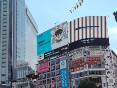 -涩谷区