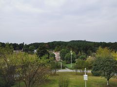 -铁山坪森林公园