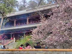 -潭柘寺景区