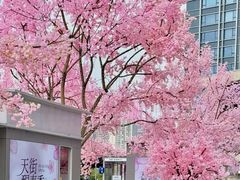 -首开·龙湖成都西宸天街