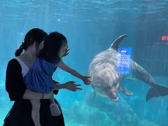 -福州罗源湾海洋世界旅游区