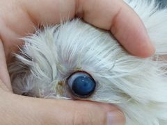 -佳雯宠物医院(金华南路分院)