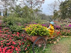 -中国科学院西双版纳热带植物园