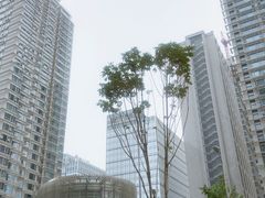 -高·尚领域