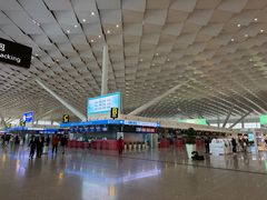 -郑州新郑国际机场-T2航站楼