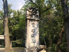 -灵谷景区