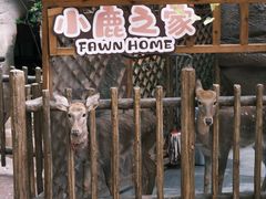 -杭州开元森泊度假乐园