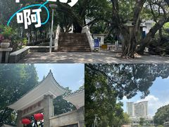 -荔湾湖公园