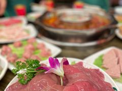 -枇杷园食为鲜火锅(南山店)