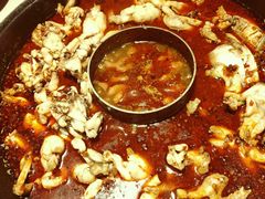 -老天桥蛙炉火锅(姑苏总店)