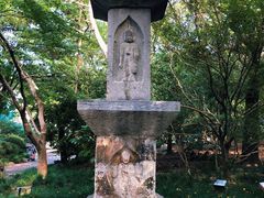 -汇龙潭