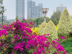 -文华公园(禅城区)