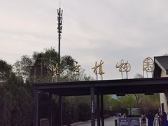 -北京植物园南门售票处