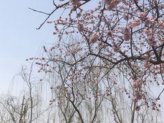 -元大都城垣遗址公园