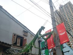 -昆虫窝子·特色云南菜(拓东路总店)