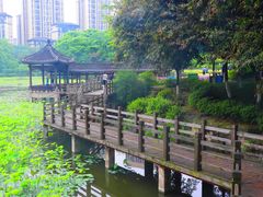 -龙头寺公园