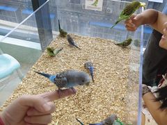 -怪兽屋·羊驼·猫咖·狗咖(俊华广场店)