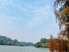 -南国桃园旅游度假区