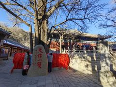-红螺寺
