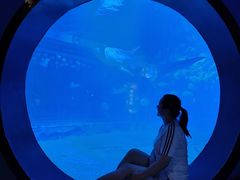 -烟台海昌鲸鲨海洋公园