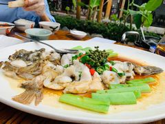 鲜花椒蒸桂花鲈-猪肉婆私房菜(容桂总店)