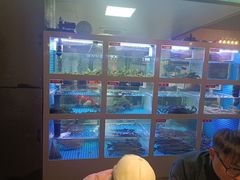 -石锅苗苗鱼(武汉首店)