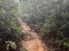 -南海湾森林生态园