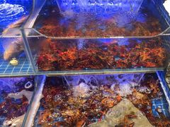-望江门小龙虾(胜利河美食街店)