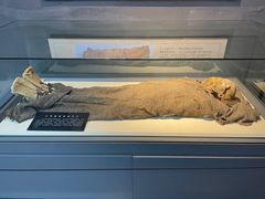 -巴音郭楞蒙古自治州博物馆