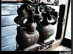 -松声马术俱乐部