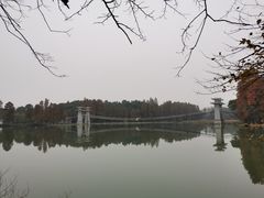 -东湖落雁景区