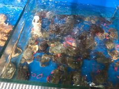 -顶之鲜海鲜餐厅