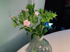 -夏朵花园(复兴西路店)