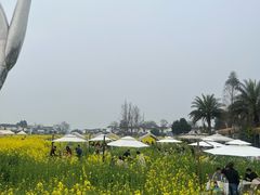 -桤木河湿地公园