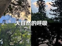 -广州市白云山风景名胜区