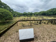 -河姆渡遗址博物馆