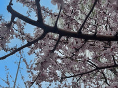-碑林公园