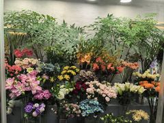 -苏城小院·园林精致苏州菜(斜塘老街店)