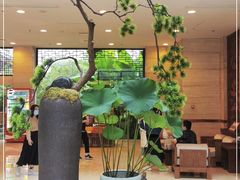 -九华山聚龙大酒店