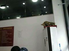 -小胖包子王(庆亚大厦店)
