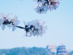 -颐和园