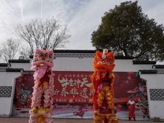 -武汉紫薇都市田园