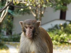 -苏州上方山国家森林公园