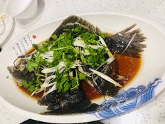 清蒸石斑鱼-前王院•巧克力海鲜市集餐厅(万平口店)