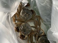 -会江钓鱼钓虾烧烤场