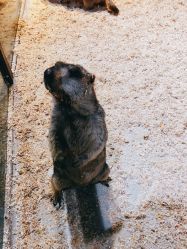 -酷嗒动物文化乐园(cutezoo西溪乐天城店)