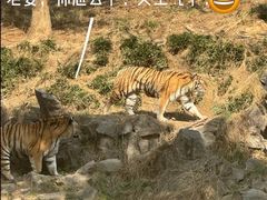 -杭州野生动物世界
