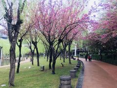 -唐城墙遗址公园